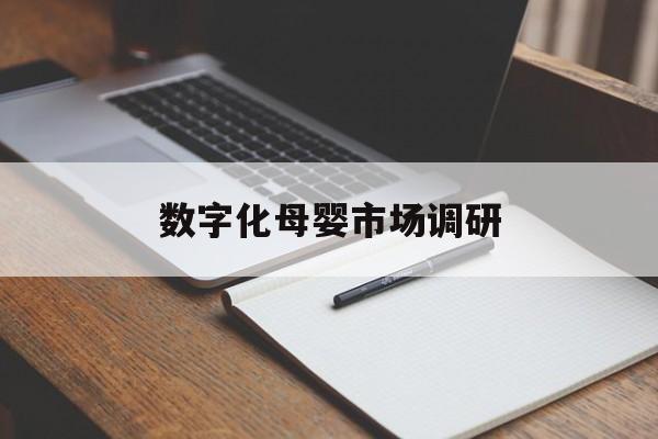 郑州市数字化母婴市场调研(数字化母婴市场调研报告)